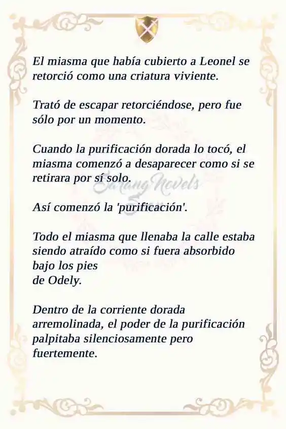 MI ESPOSO OCULTÓ SU REGRESIÓN, ASÍ QUE YO TAMBIÉN LA OCULTÉ (NOVELA) (Novela) capítulo 44 página 25