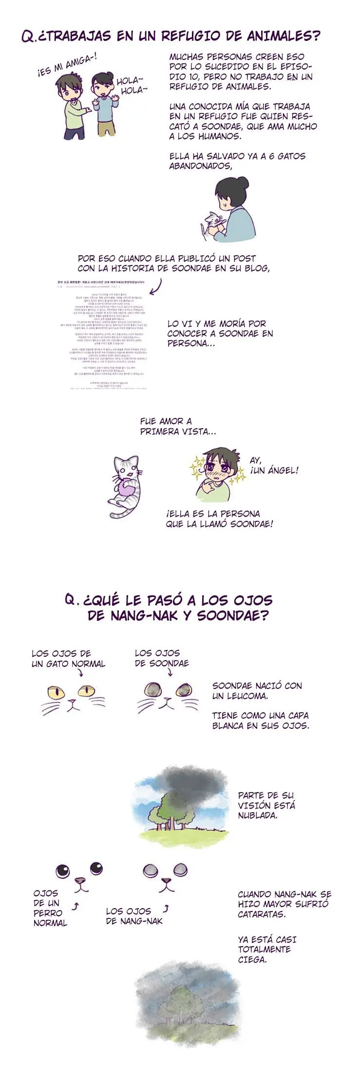 Mi Joven Gato Y Mi Viejo Perro - Capítulo 100 - Página 2 - LectorTMOo