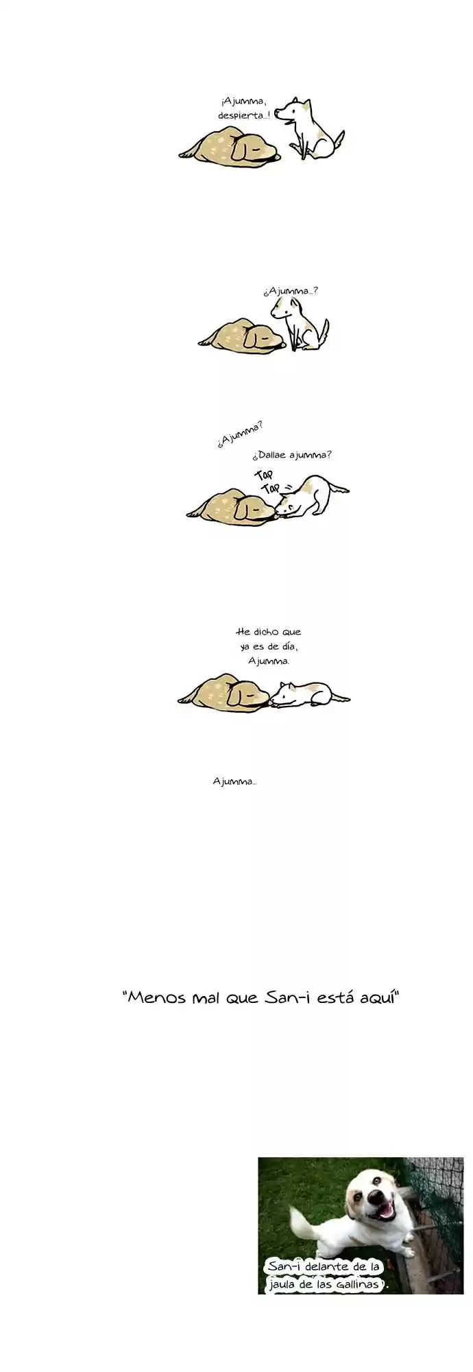 Mi Joven Gato Y Mi Viejo Perro - Capítulo 12 - Página 5 - LectorTMOo