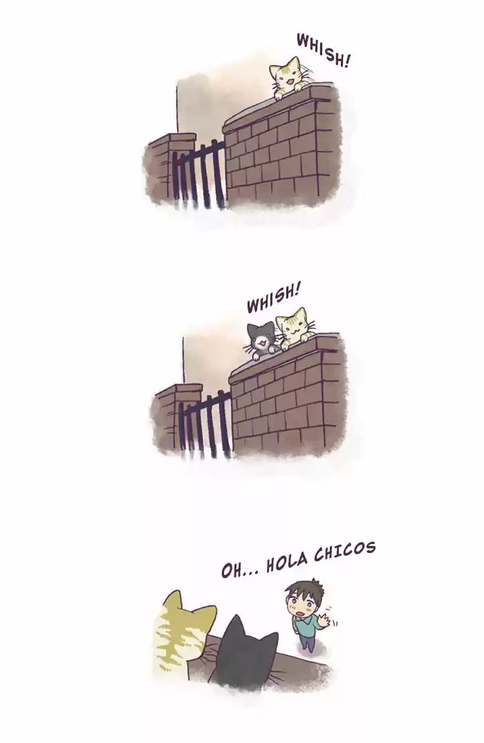 Mi Joven Gato Y Mi Viejo Perro - Capítulo 122 - Página 8 - LectorTMOo
