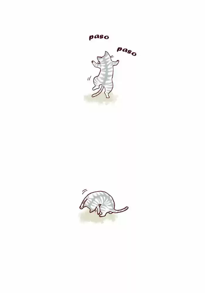 Mi Joven Gato Y Mi Viejo Perro - Capítulo 39 - Página 2 - LectorTMOo