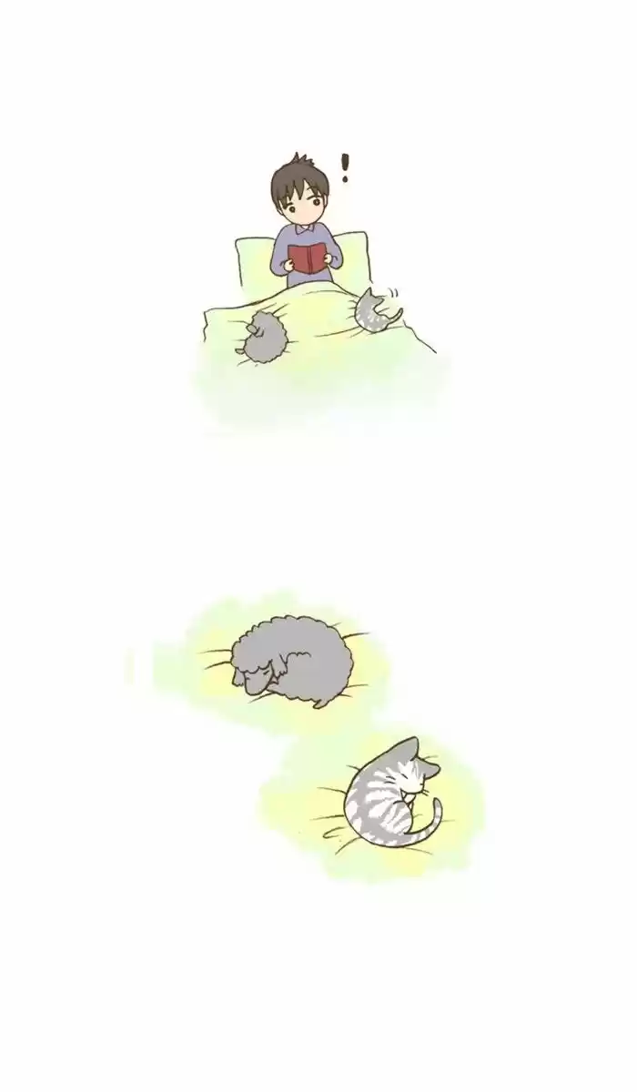 Mi Joven Gato Y Mi Viejo Perro - Capítulo 41 - Página 7 - LectorTMOo