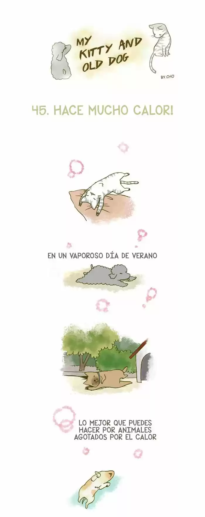 Mi Joven Gato Y Mi Viejo Perro - Capítulo 45 - Página 1 - LectorTMOo