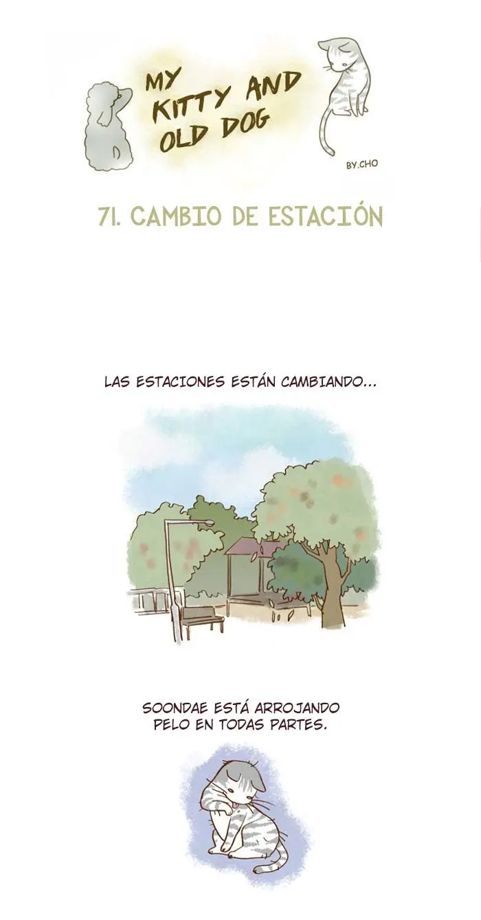 Mi Joven Gato Y Mi Viejo Perro - Capítulo 71 - Página 1 - LectorTMOo