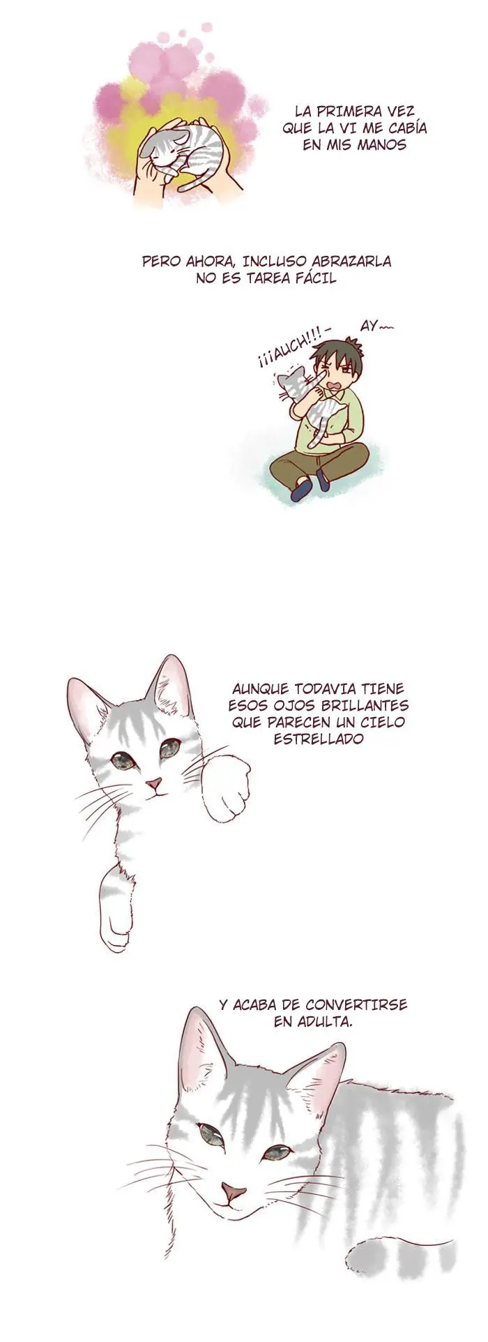 Mi Joven Gato Y Mi Viejo Perro - Capítulo 91 - Página 2 - LectorTMOo