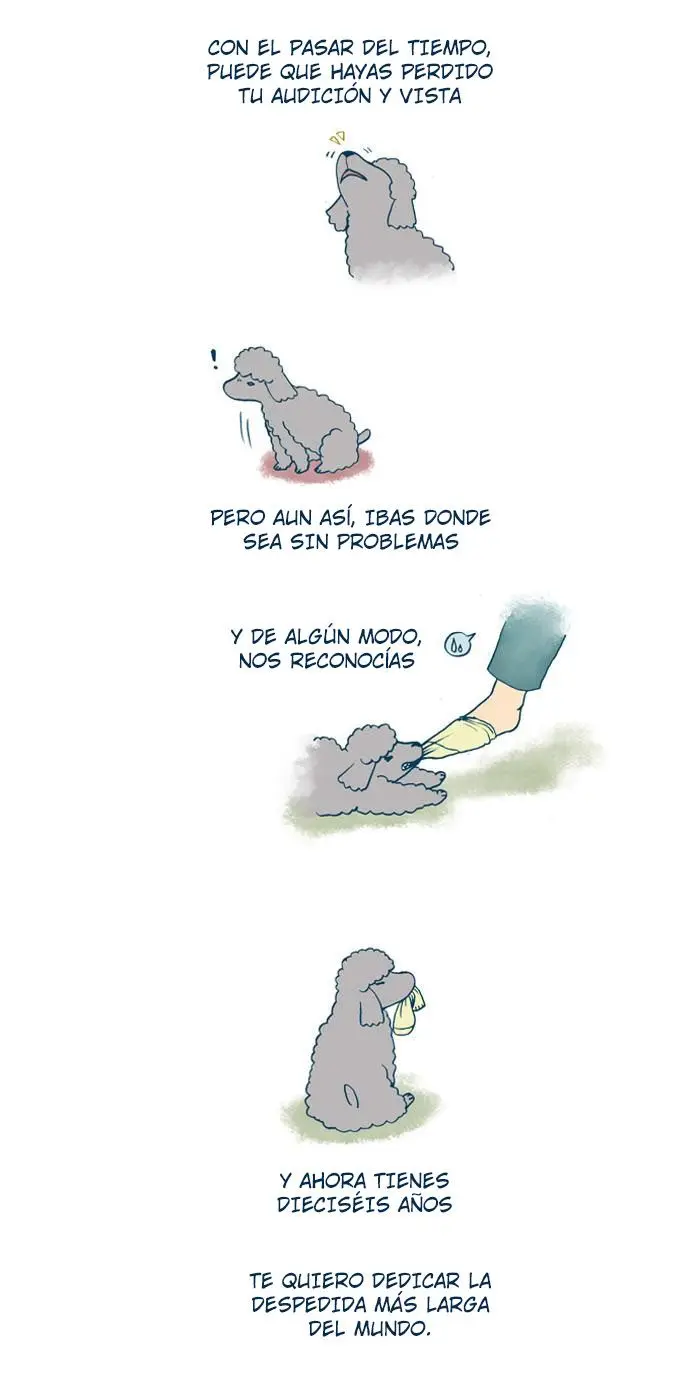 Mi Joven Gato Y Mi Viejo Perro - Capítulo 98 - Página 4 - LectorTMOo