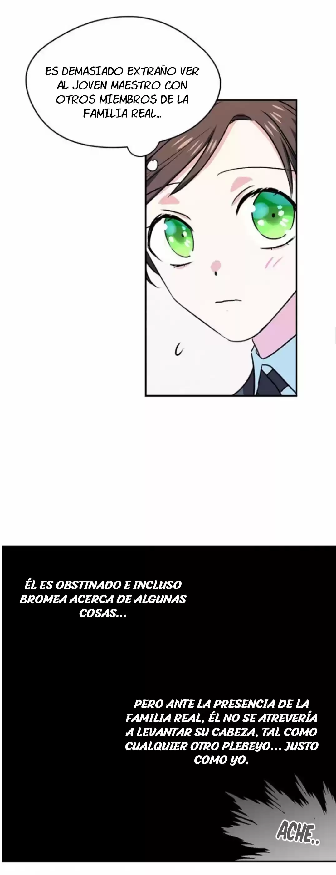 Mi Lacayo Es Una Mujer? - Capítulo 13 - Página 17 - LectorTMOo