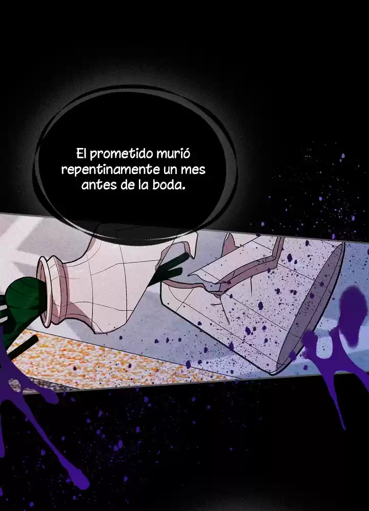 Mi Lacayo Es Una Mujer? - Capítulo 89 - Página 30 - LectorTMOo