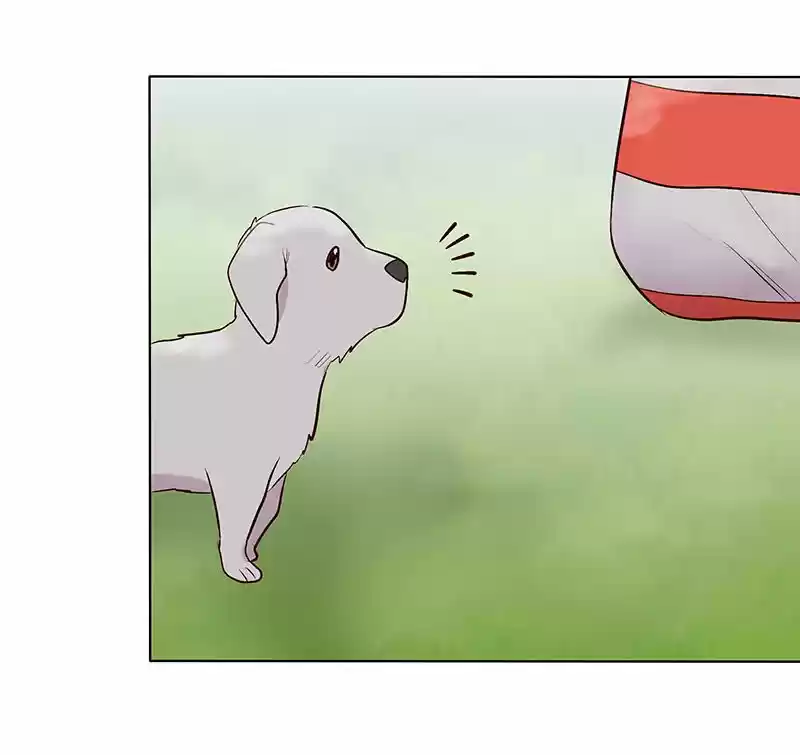Mi Secreto Más íntimo - Capítulo 74 - Página 52 - LectorTMOo