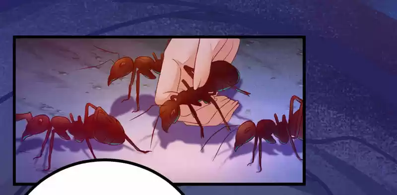 Miracle Doctor, Abandoned Daughter: The Sly Emperor's Wild Beast-Tamer Empress - Capítulo 33 - Página 12 - LectorTMOo
