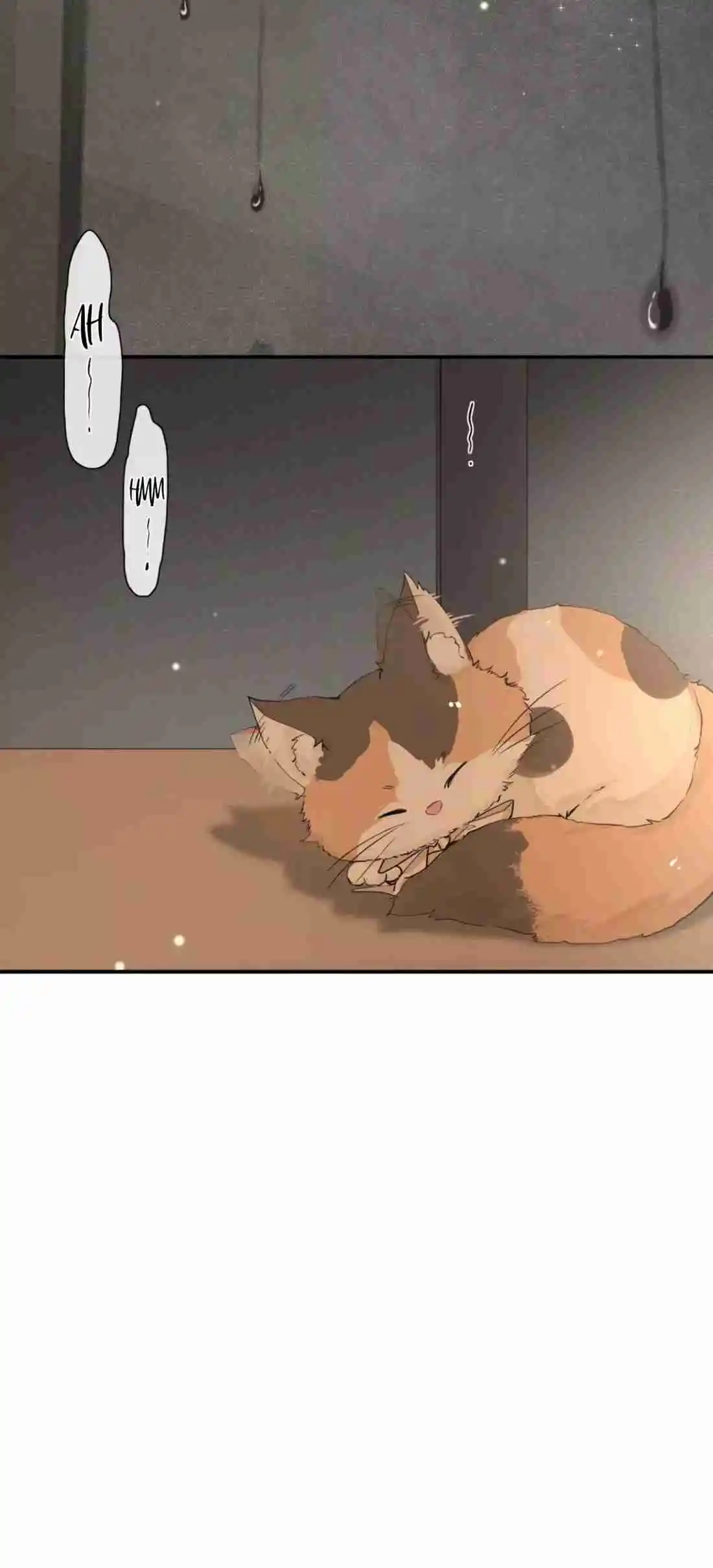 Miss Wolf Y Su Hermana Zorro - Capítulo 57.5 - Página 20 - LectorTMOo