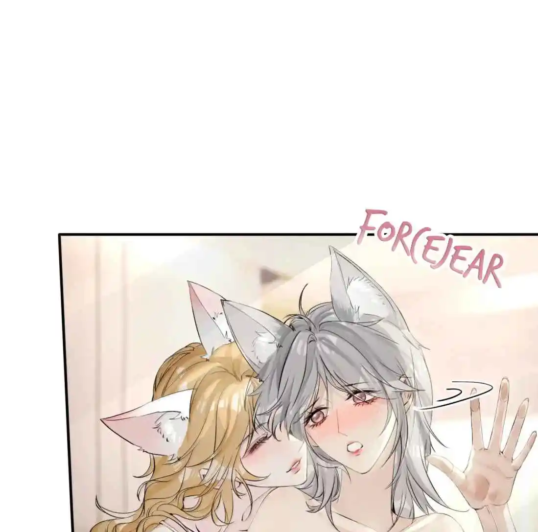 Miss Wolf Y Su Hermana Zorro - Capítulo 70.50 - Página 25 - LectorTMOo
