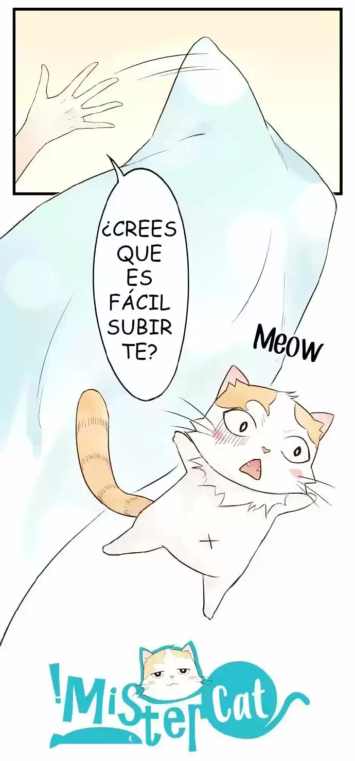 Mister Cat - Capítulo 1 - Página 2 - LectorTMOo