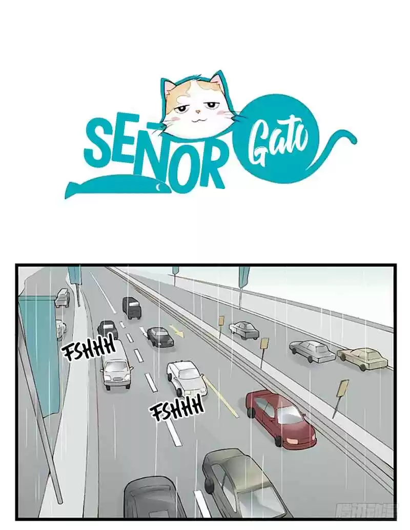 Mister Cat - Capítulo 10 - Página 5 - LectorTMOo