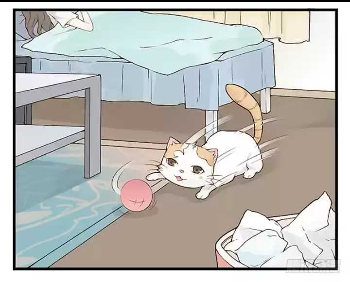Mister Cat - Capítulo 11 - Página 7 - LectorTMOo