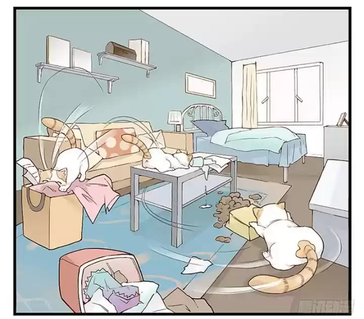 Mister Cat - Capítulo 11 - Página 13 - LectorTMOo