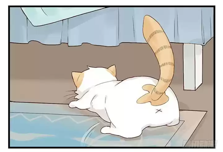 Mister Cat - Capítulo 11 - Página 15 - LectorTMOo