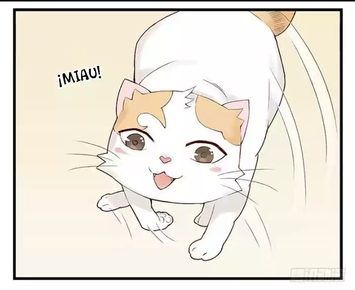 Mister Cat - Capítulo 11 - Página 18 - LectorTMOo