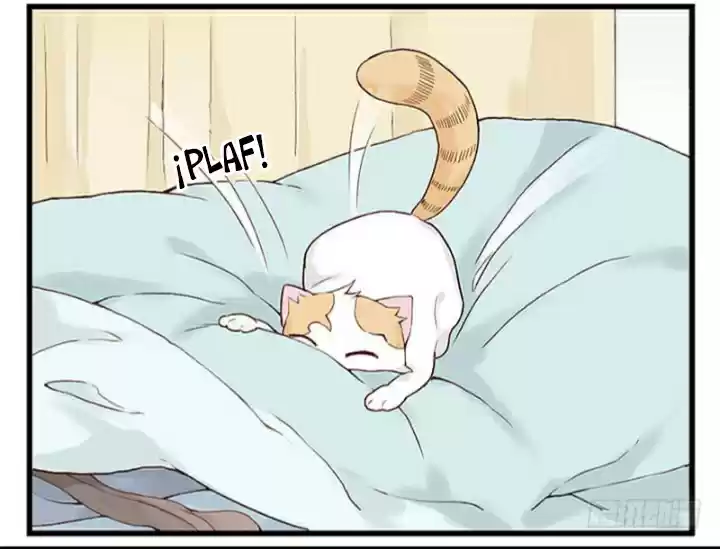 Mister Cat - Capítulo 11 - Página 19 - LectorTMOo