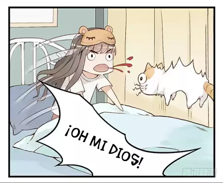 Mister Cat - Capítulo 11 - Página 21 - LectorTMOo