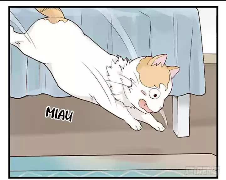 Mister Cat - Capítulo 11 - Página 23 - LectorTMOo