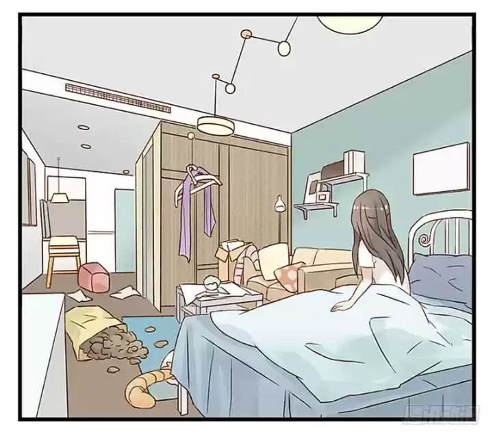 Mister Cat - Capítulo 11 - Página 27 - LectorTMOo
