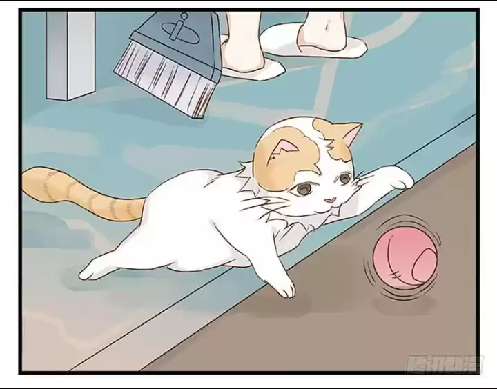 Mister Cat - Capítulo 11 - Página 35 - LectorTMOo