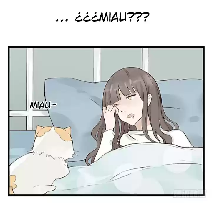Mister Cat - Capítulo 4 - Página 15 - LectorTMOo