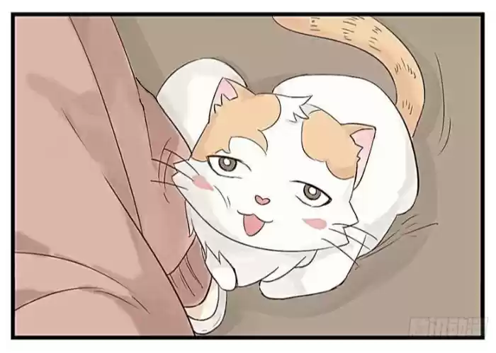 Mister Cat - Capítulo 4 - Página 46 - LectorTMOo