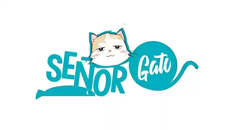 Mister Cat - Capítulo 8 - Página 4 - LectorTMOo