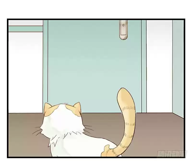 Mister Cat - Capítulo 8 - Página 31 - LectorTMOo
