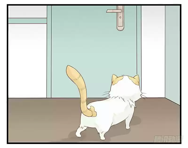 Mister Cat - Capítulo 8 - Página 32 - LectorTMOo
