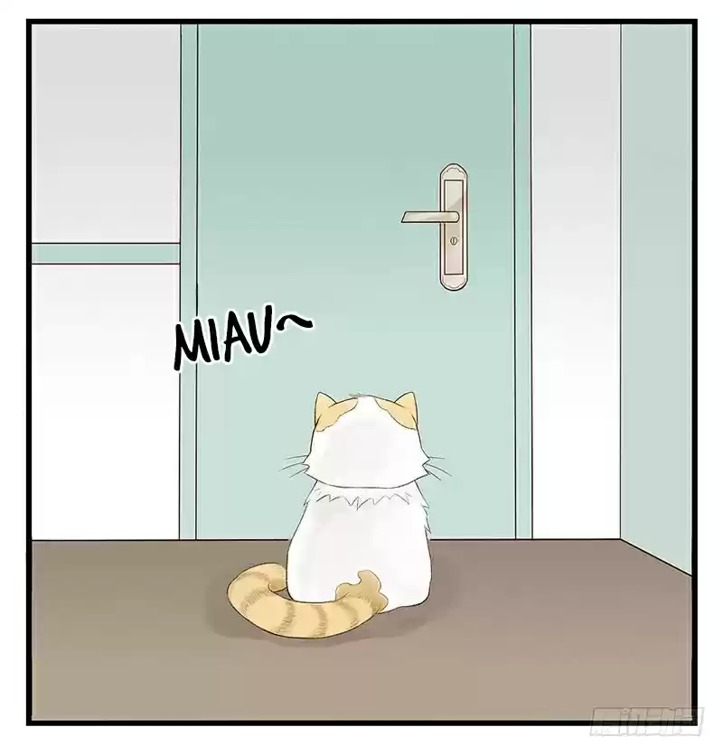 Mister Cat - Capítulo 8 - Página 35 - LectorTMOo