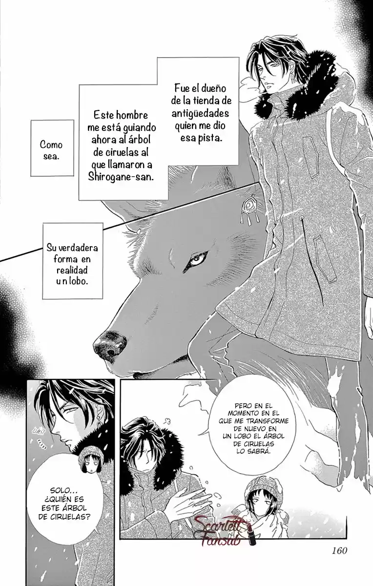 Mitsuyokon - Tsukumogami No Yomegoryou - Capítulo 20 - Página 14 - LectorTMOo