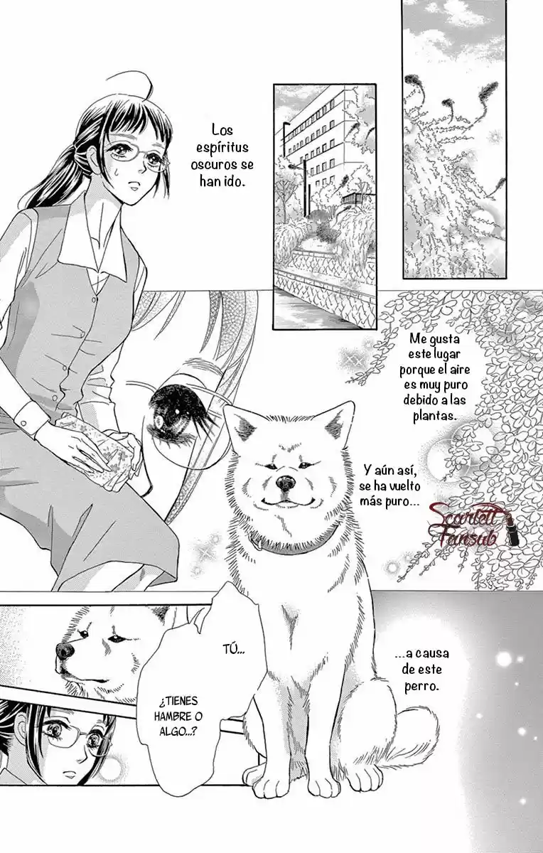 Mitsuyokon - Tsukumogami No Yomegoryou - Capítulo 23 - Página 13 - LectorTMOo