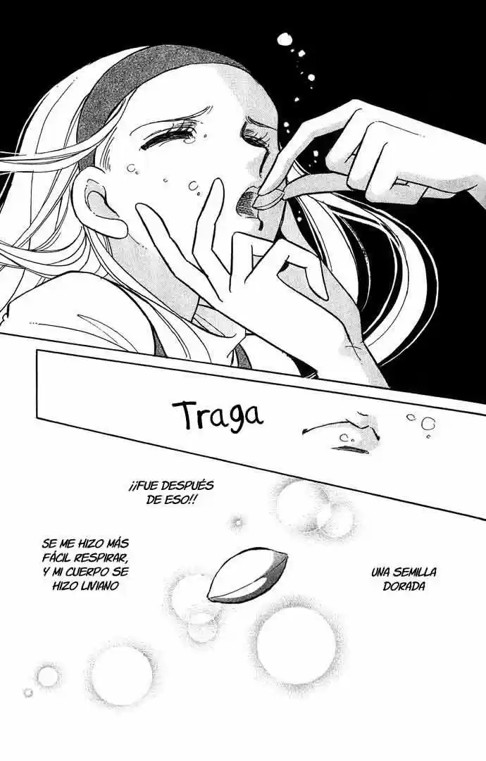 Mizu Ni Sumu Hana - Capítulo 1 - Página 50 - LectorTMOo