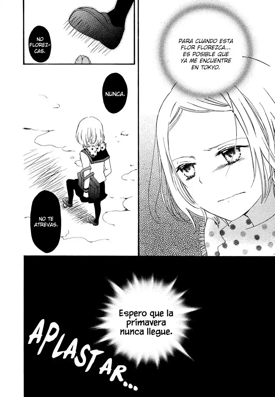 Mizuiro Ether - Capítulo 2 - Página 15 - LectorTMOo