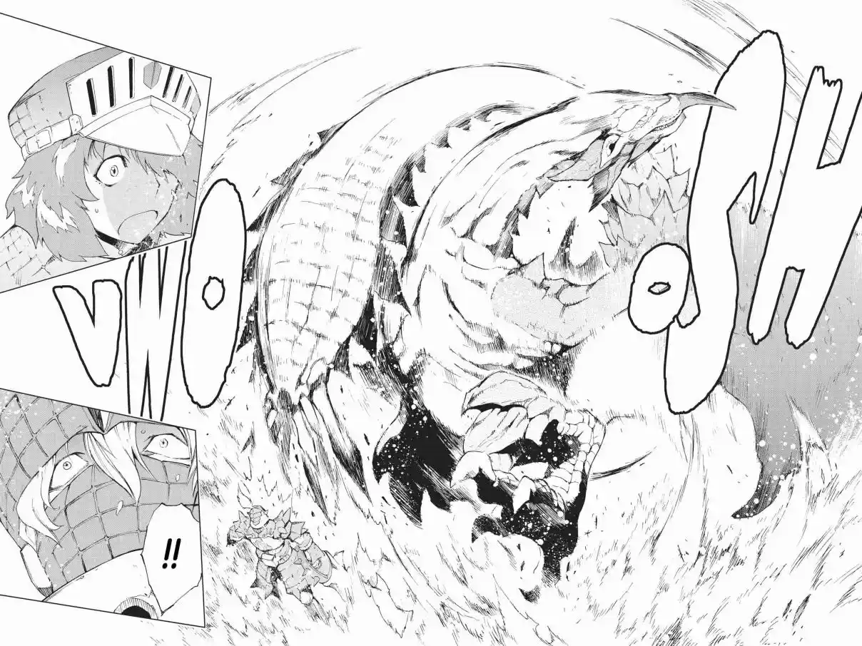Monster Hunter - Senkou No Kariudo - Capítulo 5 - Página 13 - LectorTMOo