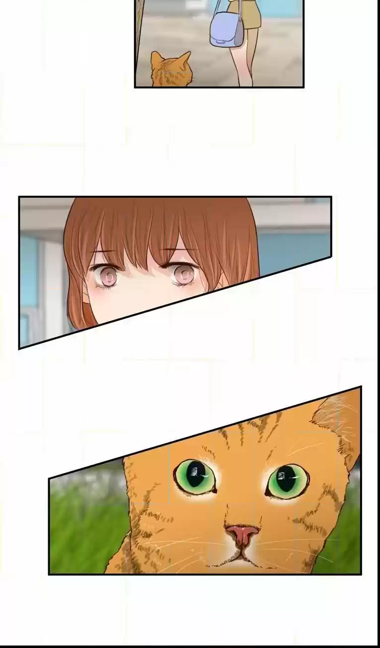 Monster Idols - Capítulo 25 - Página 34 - LectorTMOo