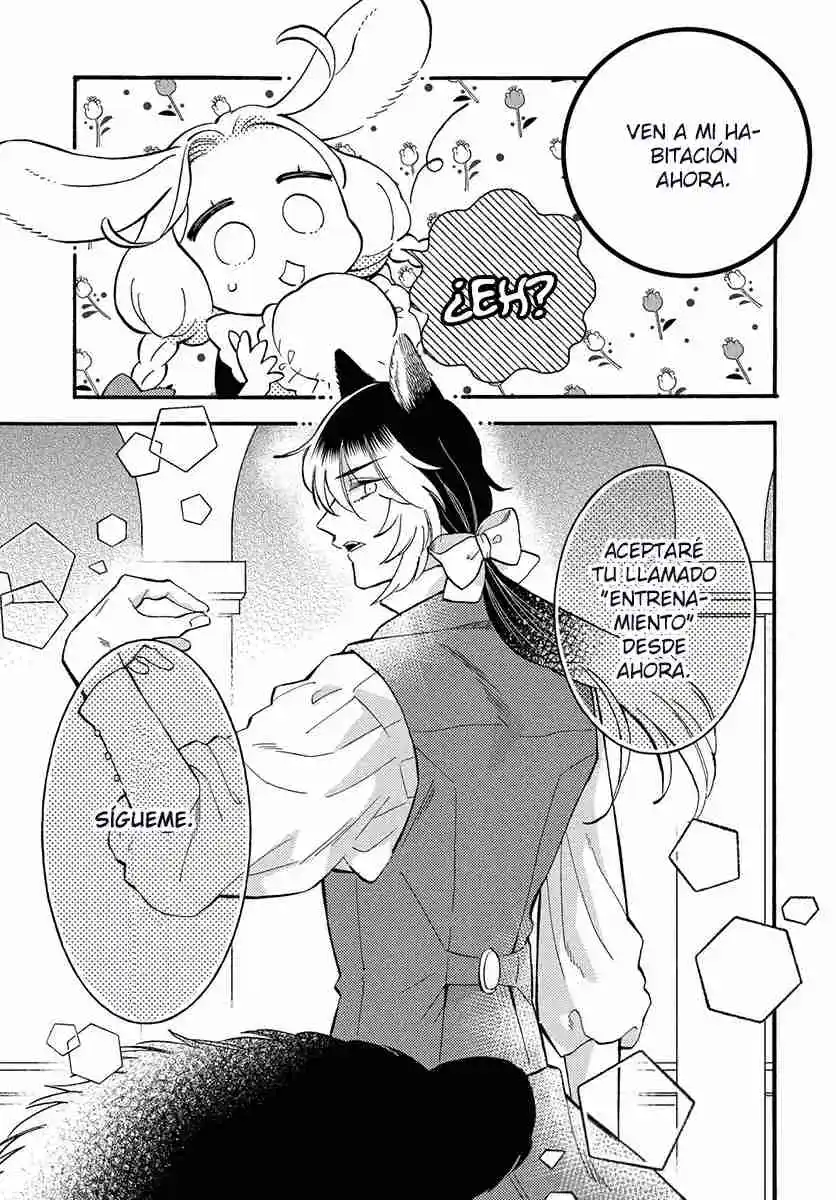Mr. Wolf And Rabbit Maid - Capítulo 4 - Página 8 - LectorTMOo