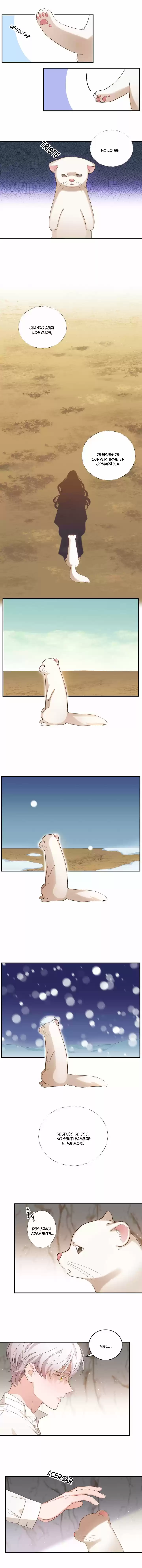 ¡Muerte A La Pequeña Comadreja! - Capítulo 6 - Página 4 - LectorTMOo