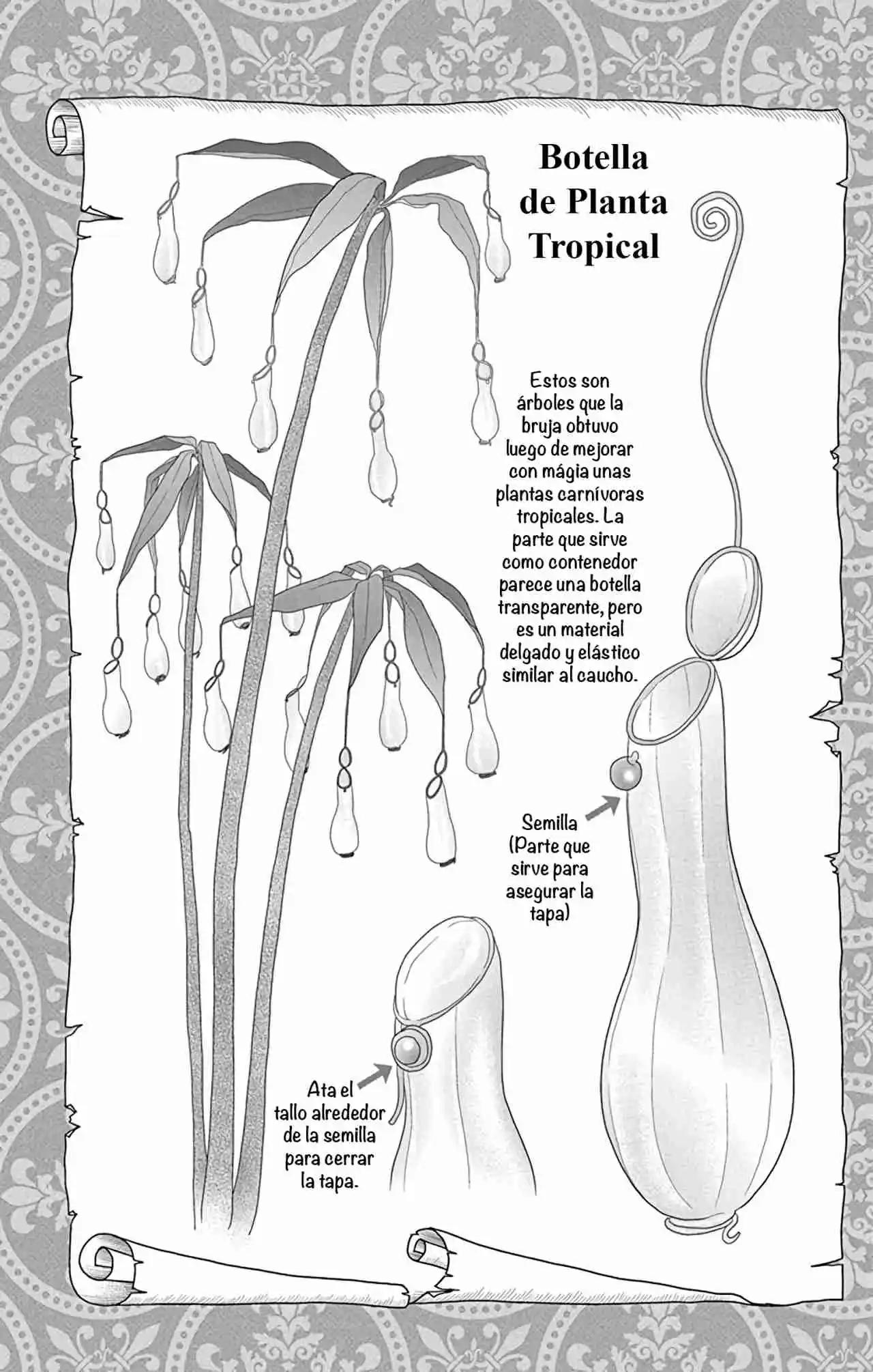 Mushroom Witch - Capítulo 1 - Página 30 - LectorTMOo