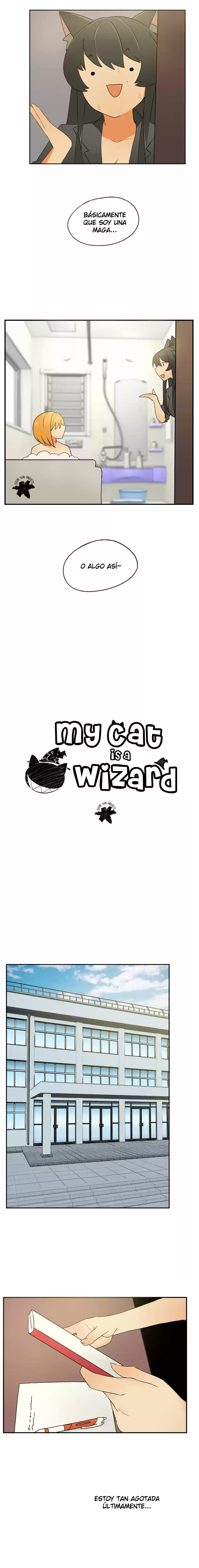 My Cat Is A Wizard - Capítulo 12 - Página 1 - LectorTMOo