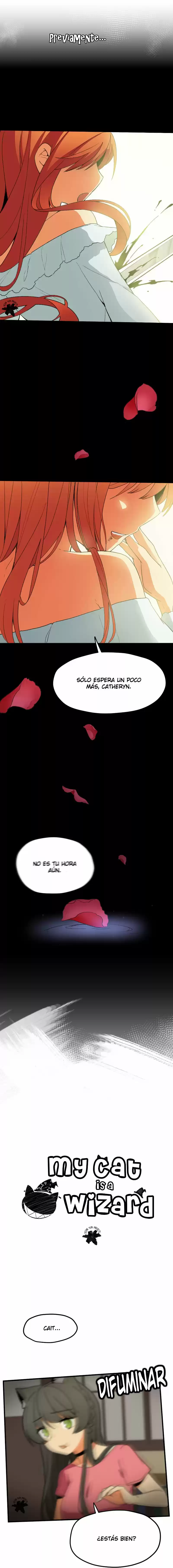 My Cat Is A Wizard - Capítulo 43 - Página 1 - LectorTMOo