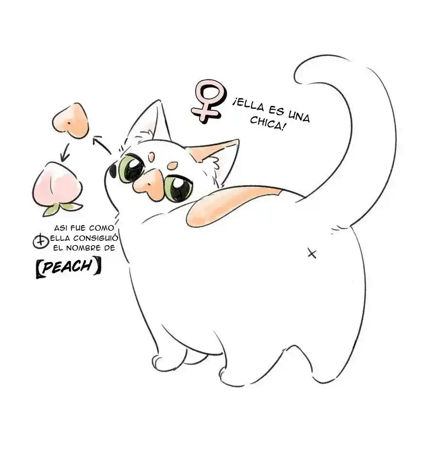 My Food Seems To Be Very Cute - Capítulo 153 - Página 44 - LectorTMOo