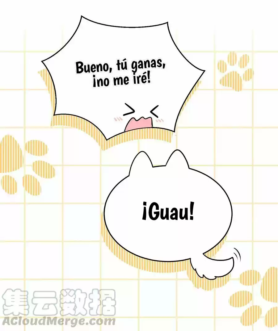 My Food Seems To Be Very Cute - Capítulo 43.50 - Página 13 - LectorTMOo
