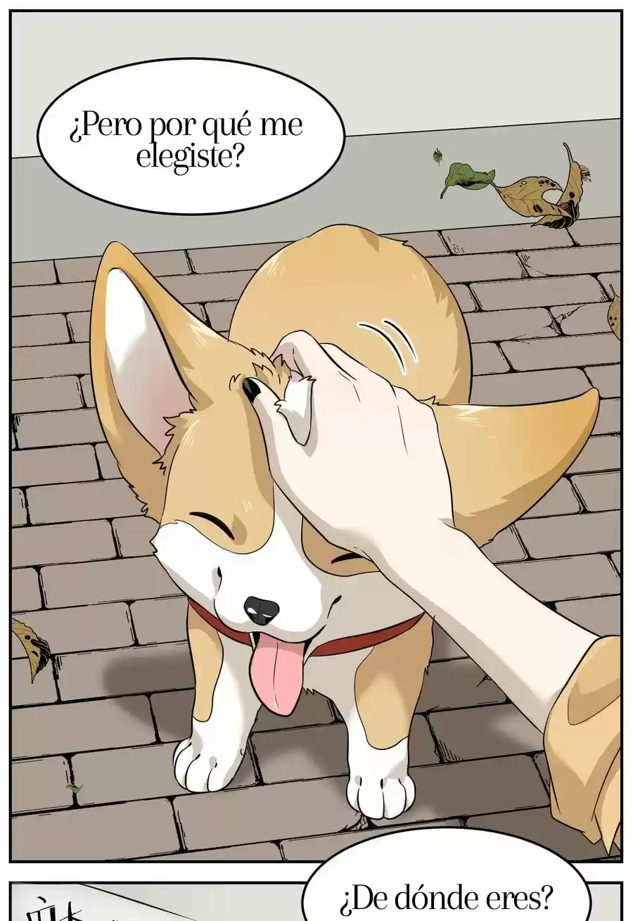 My Food Seems To Be Very Cute - Capítulo 8 - Página 27 - LectorTMOo