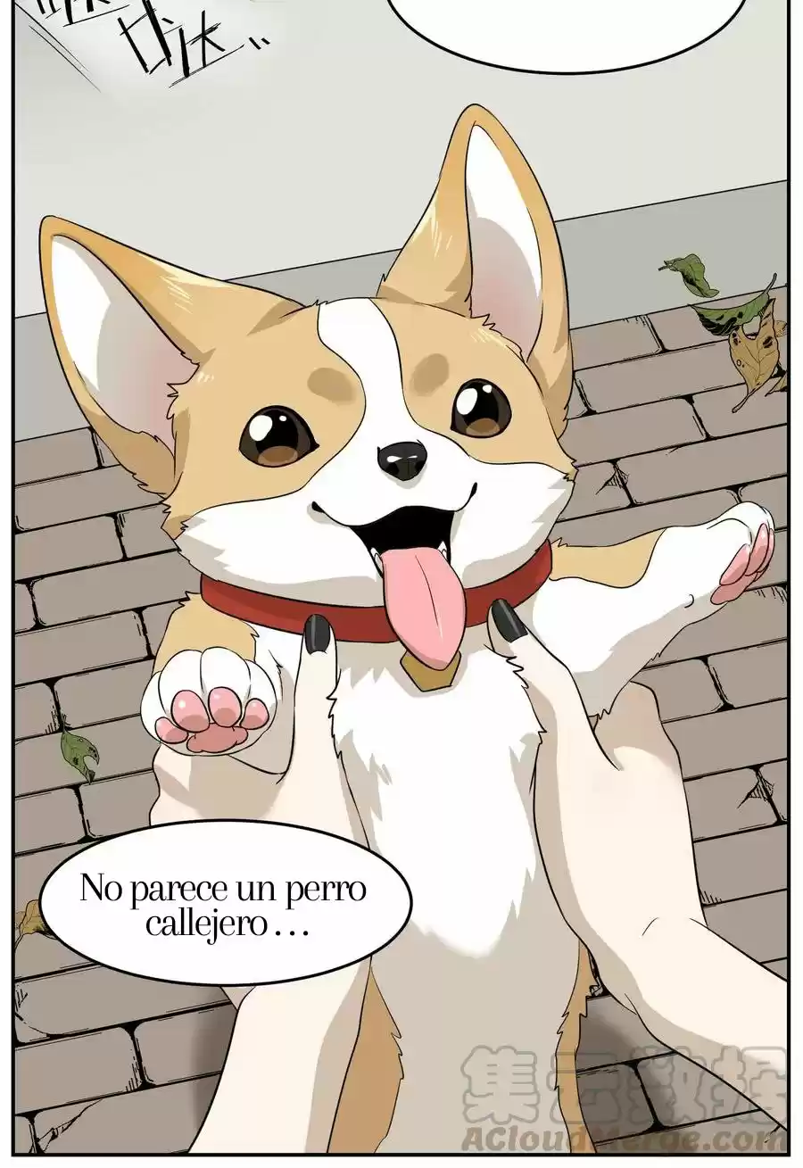 My Food Seems To Be Very Cute - Capítulo 8 - Página 28 - LectorTMOo