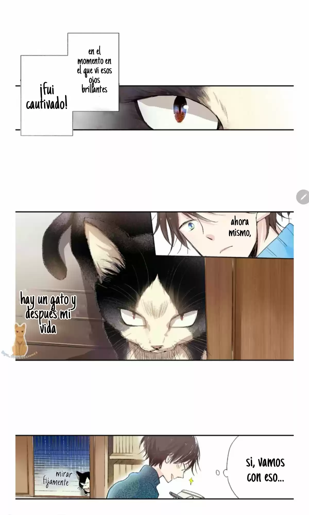 My Roommate Is A Cat - Capítulo 1 - Página 2 - LectorTMOo