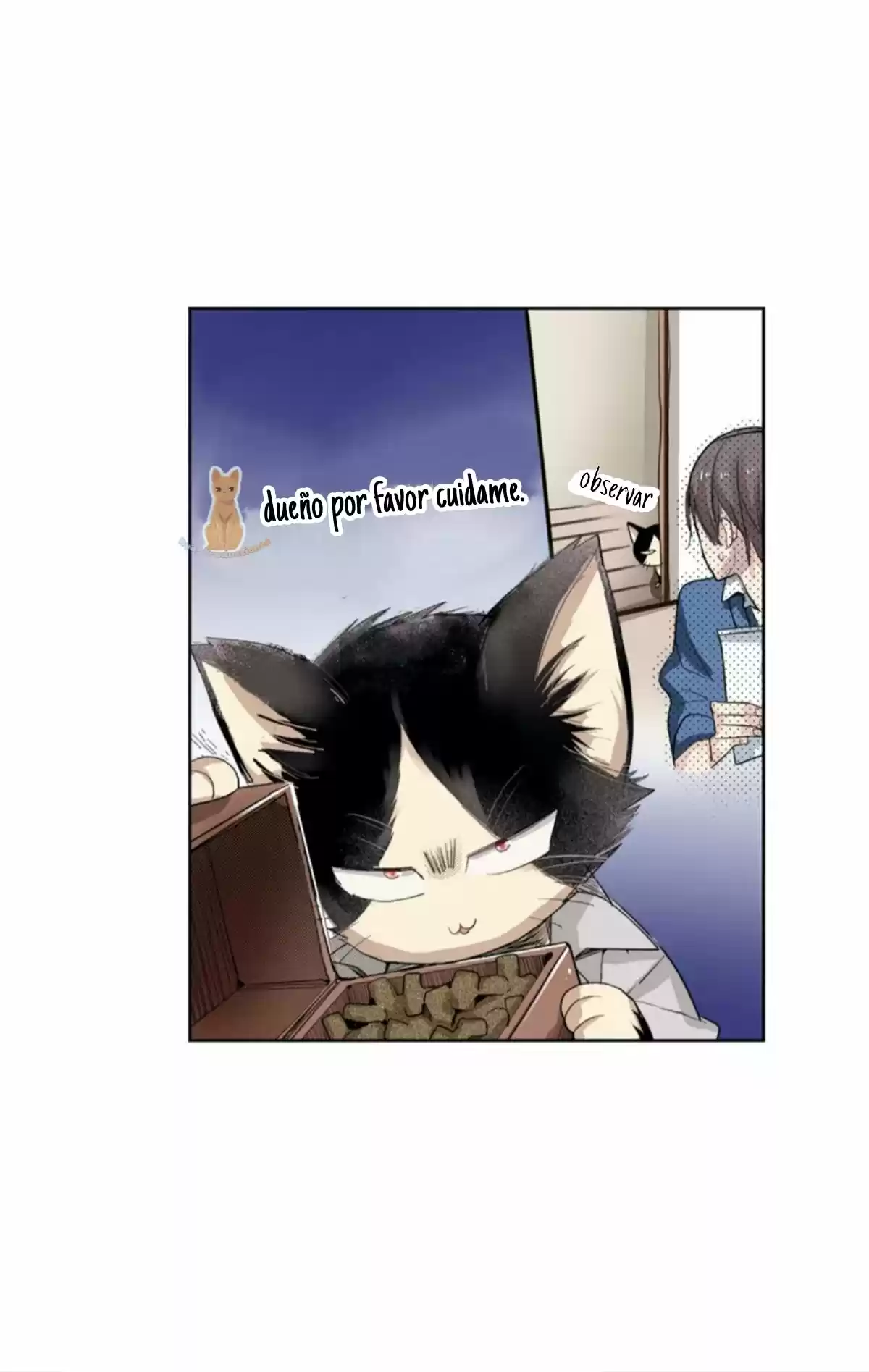 My Roommate Is A Cat - Capítulo 2 - Página 6 - LectorTMOo